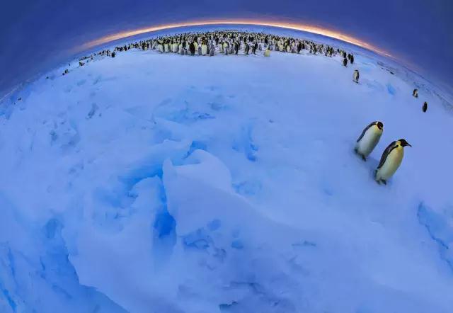 金螳螂:羅紅攝影藝術館室內裝飾工程