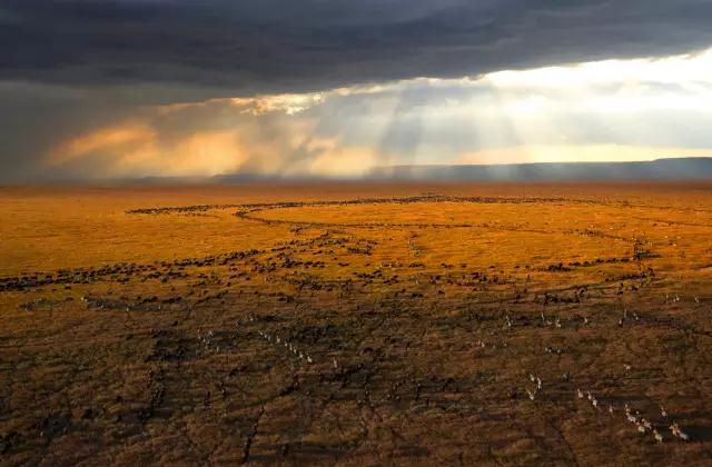 金螳螂:羅紅攝影藝術館室內裝飾工程