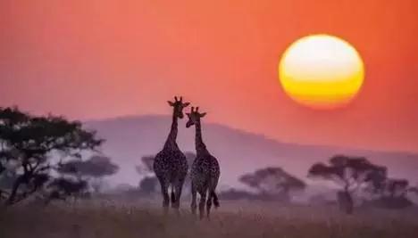 金螳螂:羅紅攝影藝術館室內裝飾工程