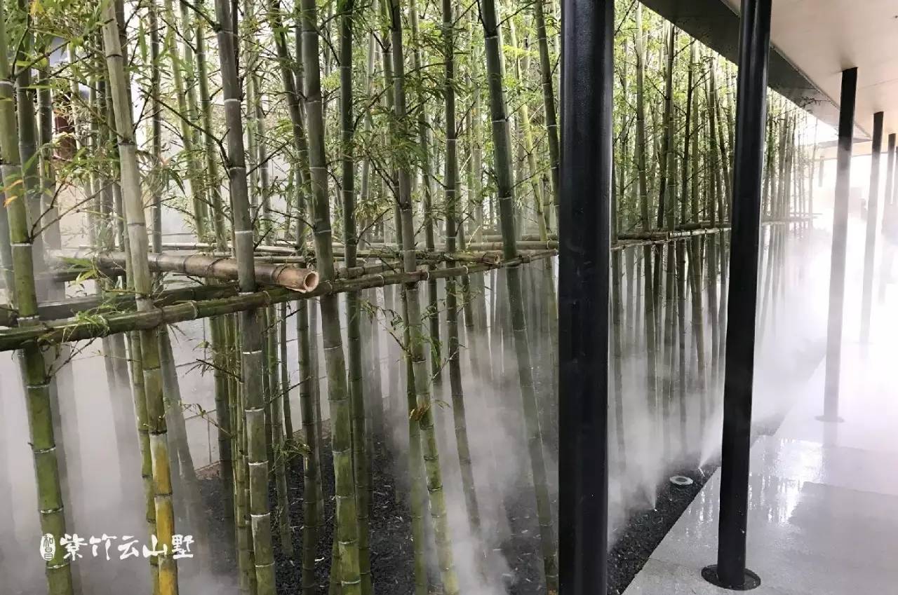 一場冷艷的園林音樂會