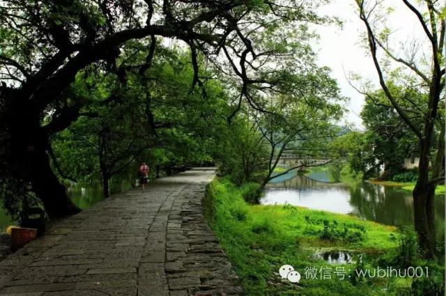 對(duì)馮驥才先生批評(píng)傳統(tǒng)村落和古村旅游發(fā)展問(wèn)題的不同看法