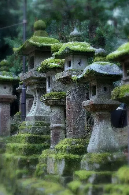 園林鑒賞：日本庭院中的美學禪意