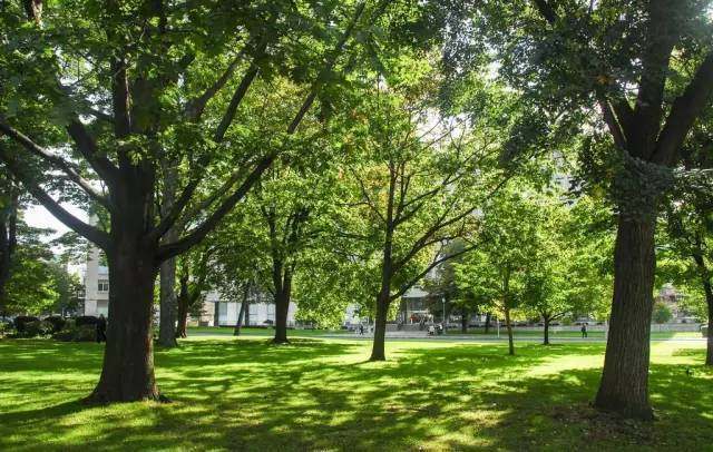 “十三五”我國園林綠化行業(yè)前景如何?