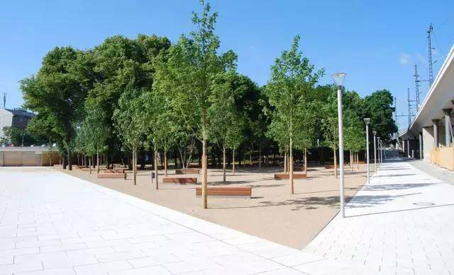 “十三五”我國園林綠化行業(yè)前景如何？