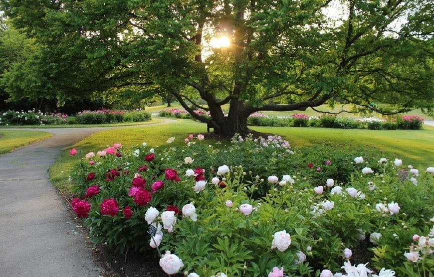 “十三五”我國園林綠化行業(yè)前景如何？