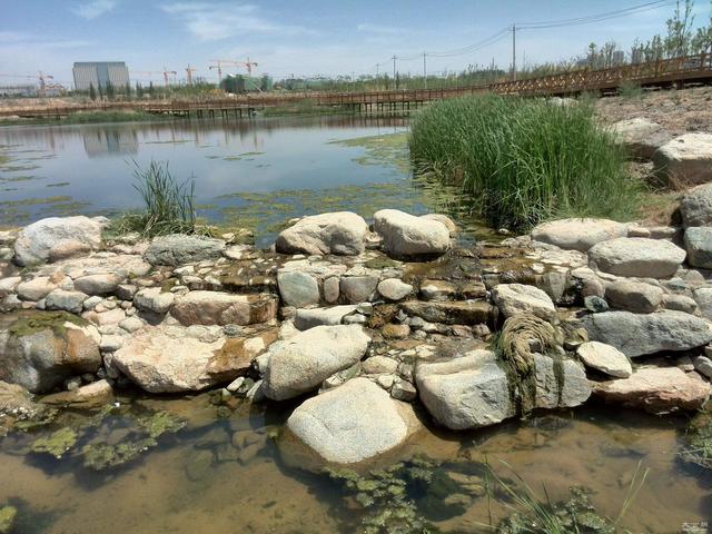 國家濕地公園園林化解決對策