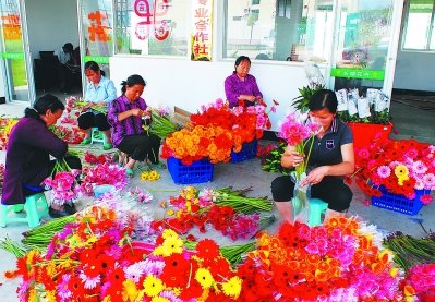 一個偏遠貧困小縣如何發展為鮮切花之鄉？