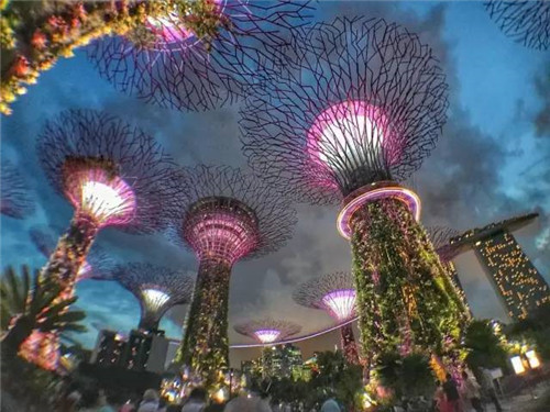 世界上這些驚為天人的植物園你都知道嗎？