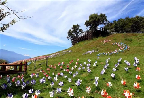 國際動態:觀光農業景觀設計