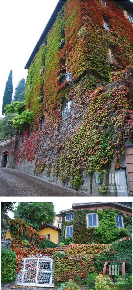 全球28個(gè)經(jīng)典的垂直綠化、屋頂花園