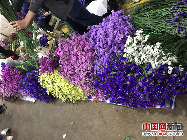 走進云南昆明 探訪亞洲最大的花卉交易市場斗南花市