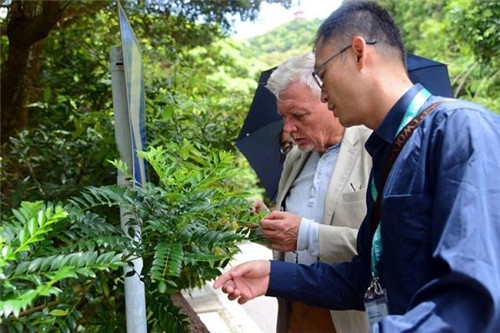 澳大利亞植物學家訪問梧桐山風景名勝區(qū)