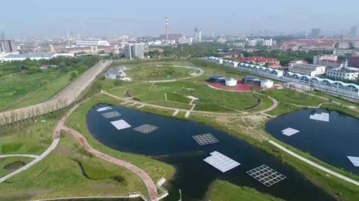 魔都這個23萬平濕地公園，本周末起免費開放