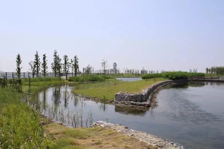 魔都這個23萬平濕地公園，本周末起免費開放