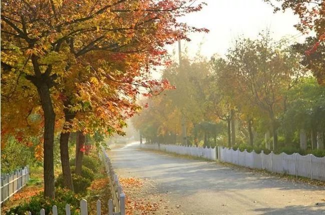 來大楊山國家森林公園邂逅真正的秋天