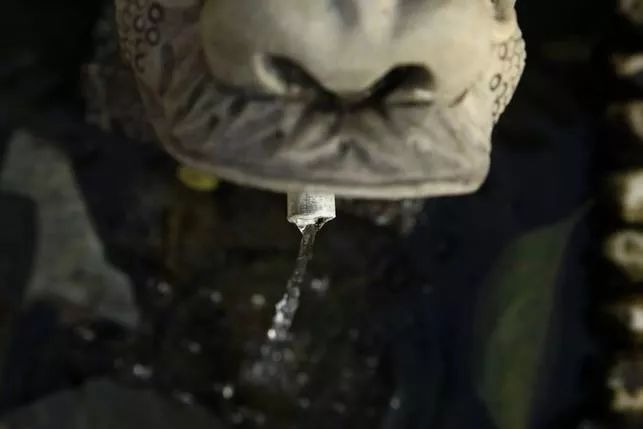 來大楊山國家森林公園邂逅真正的秋天