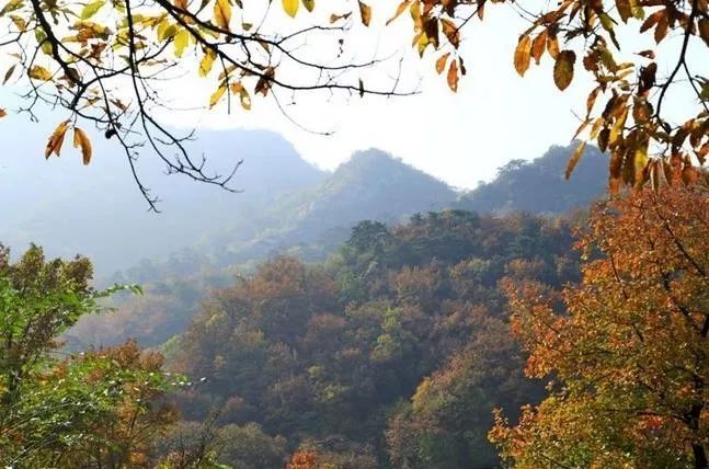 來大楊山國家森林公園邂逅真正的秋天