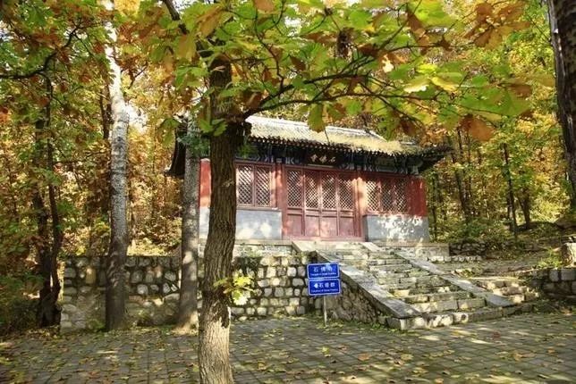 來大楊山國家森林公園邂逅真正的秋天