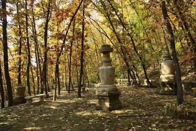 來大楊山國家森林公園邂逅真正的秋天