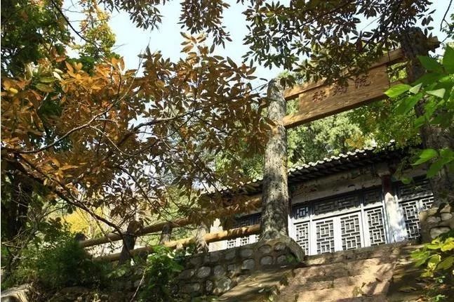 來大楊山國家森林公園邂逅真正的秋天