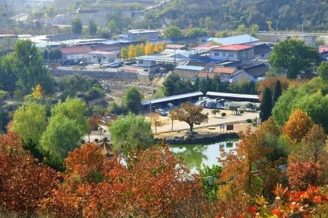 來大楊山國家森林公園邂逅真正的秋天