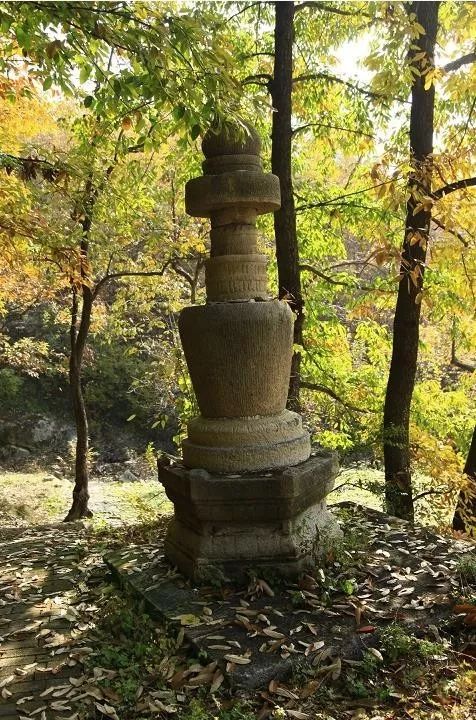 來大楊山國家森林公園邂逅真正的秋天