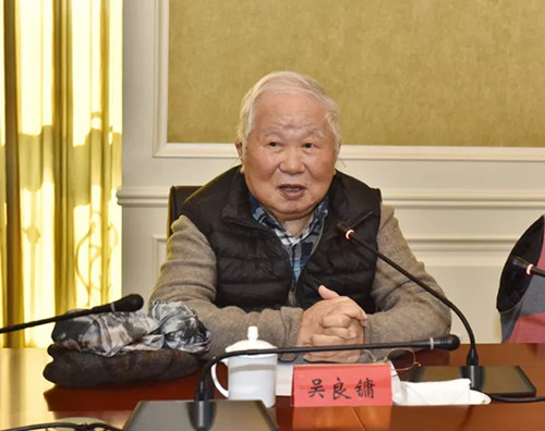 95歲高齡吳良鏞院士一行到雄安新區(qū)考察