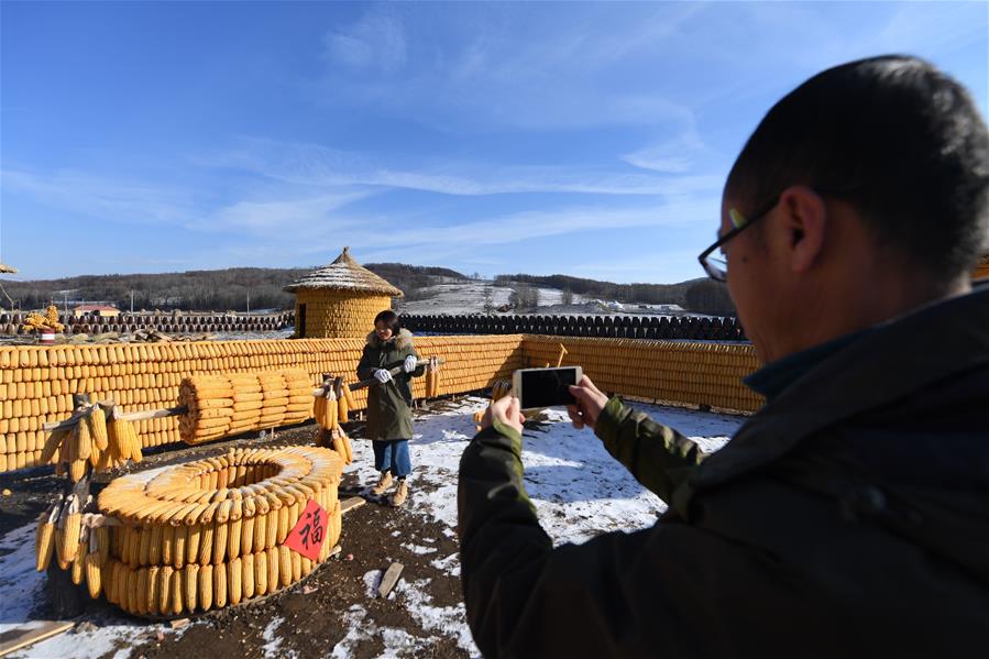 3萬根玉米打造東北農(nóng)村特色院落景觀