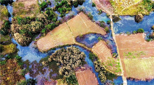 航拍生態(tài)綠洲——都安澄江國(guó)家濕地公園