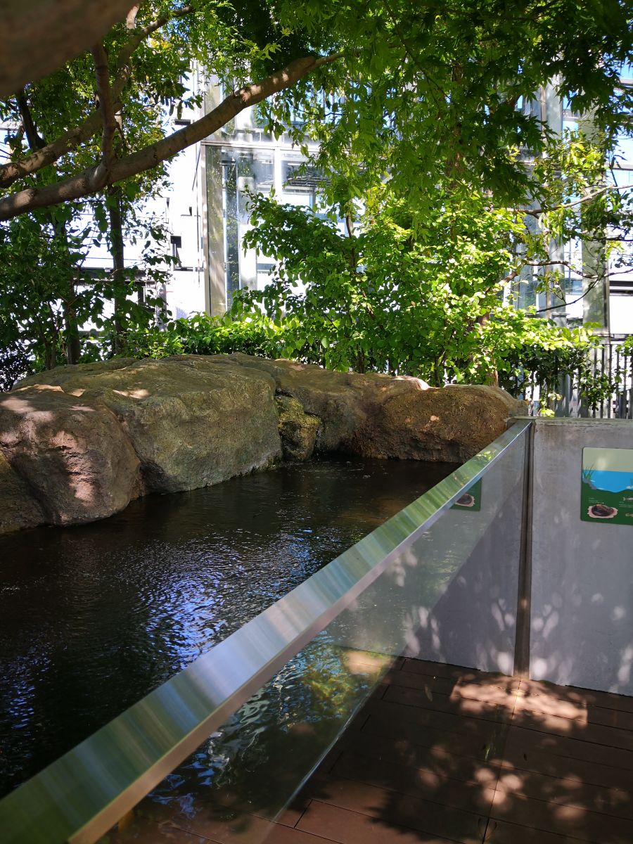 東京知名建筑與景觀參訪 與戶田芳樹大師對(duì)話