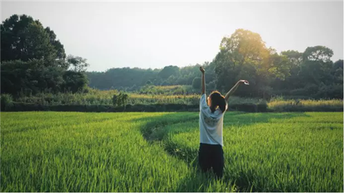 鄉(xiāng)村為底圖，設(shè)計(jì)為橋梁：2018第三屆國際高校建造大賽結(jié)果揭曉
