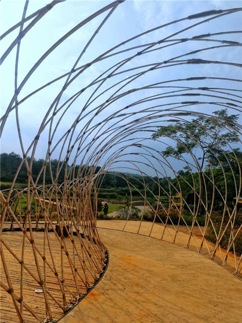 鄉(xiāng)村為底圖，設(shè)計(jì)為橋梁：2018第三屆國際高校建造大賽結(jié)果揭曉