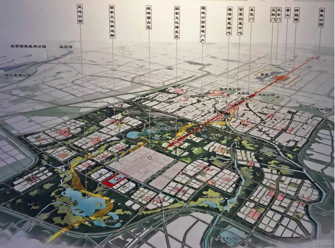 楊保軍：用文化激活城市發展