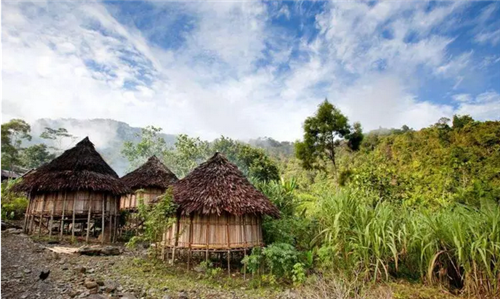 都市圈時(shí)代來(lái)了,鄉(xiāng)村振興的重大利好消息!