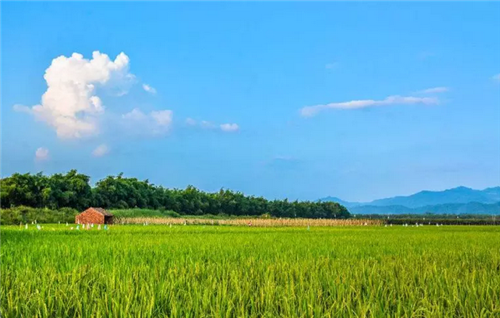 都市圈時(shí)代來(lái)了,鄉(xiāng)村振興的重大利好消息!