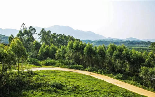 都市圈時(shí)代來(lái)了,鄉(xiāng)村振興的重大利好消息!