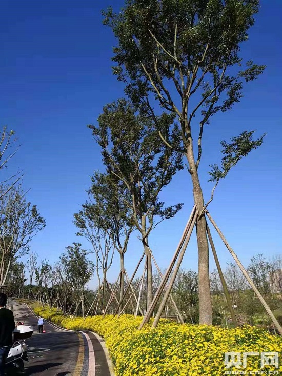 全國(guó)首個(gè)綠道設(shè)計(jì)真人秀等你來(lái)秀