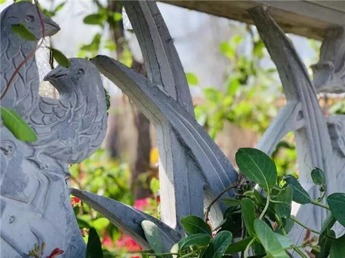 2019園冶杯專業(yè)獎丨2019北京世園會北京園