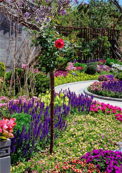 2019園冶杯專業(yè)獎丨2019北京世園會北京園