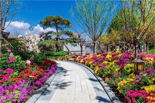 2019園冶杯專業(yè)獎丨2019北京世園會北京園