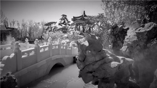 2019園冶杯專業(yè)獎丨2019北京世園會北京園