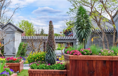 2019園冶杯專業(yè)獎丨2019北京世園會北京園