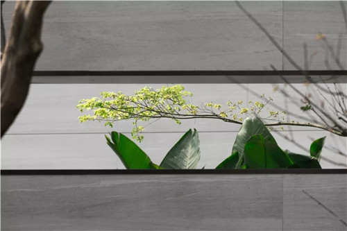 2019園冶杯專業獎丨重慶龍湖·嘉天下