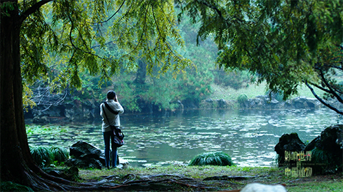 紀錄片《影響世界的中國植物》 中秋重磅推出！