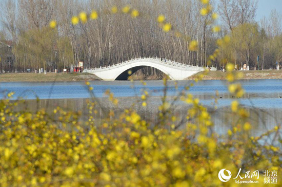 從“綠起來”到“活起來” 北京讓綠色成為城市底色 