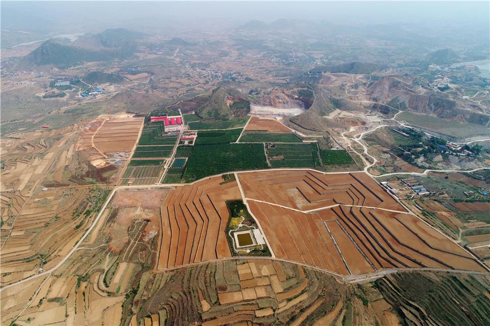 河北邯鄲全方位修復生態環境注重質量雙收