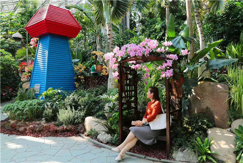 千花萬草為上海植物園化上“國慶妝”