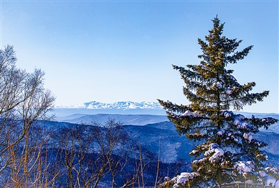 中國自然保護地進入建設發展新時代