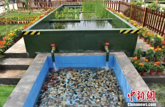 雄安：建設“未來之城”從打好藍綠本底開局