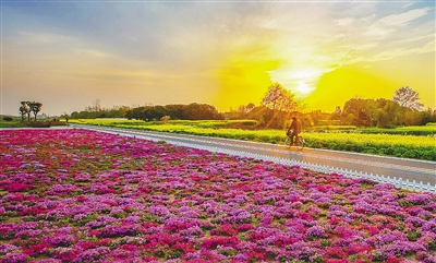 擦亮“生態”名片 無錫走出“綠色”變遷之路 